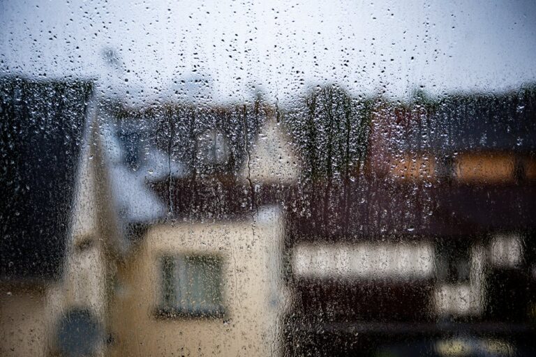 Tranzacții Imobiliare în Cluj: Cele Mai Bune Practici pentru Investiții în Case și Terenuri