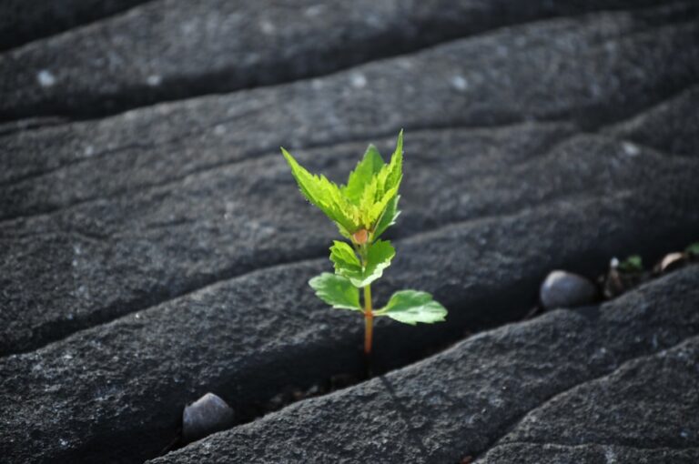 10 strategii pentru a-ti construi un brand personal durabil pe termen lung