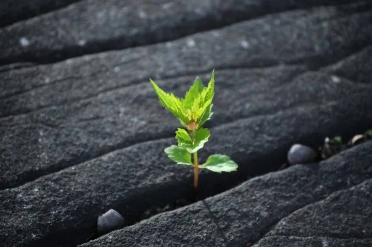 Photo "10 strategies for building a sustainable personal brand in the long term"