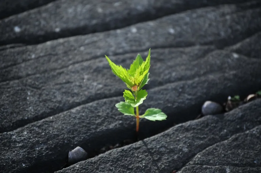 Photo "10 strategies for building a sustainable personal brand in the long term"