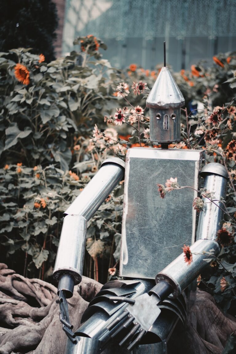 5 pasi pentru a-ti automatiza procesele de recrutare