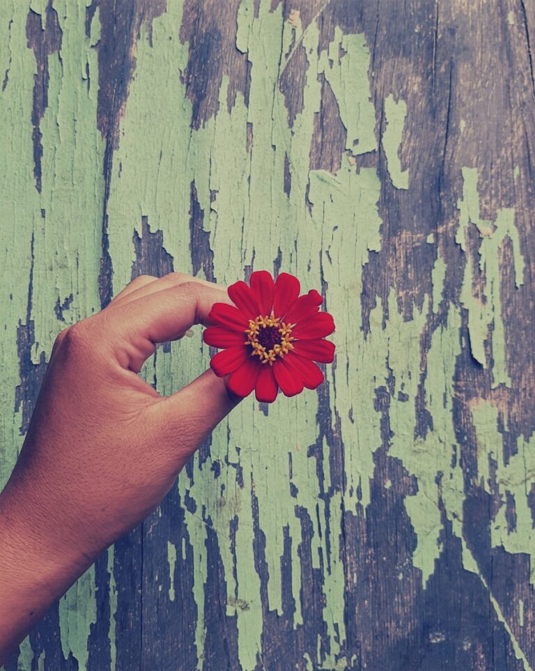 Cum sa-ti cultivi o mentalitate de gratitudine pentru experientele dificile