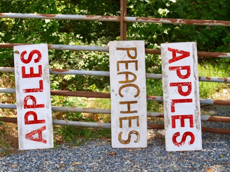 5 sfaturi pentru a-ti imbunatati capacitatea de adaptare