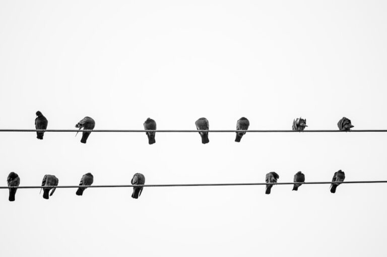 Cum sa faci networking eficient pentru a-ti promova brandul