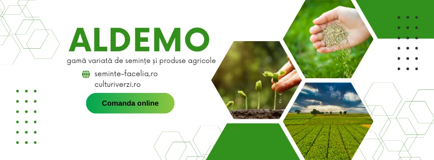 Facelia, sorg hibrid, muștar, ridiche oleaginoasă, trifoi încarnat și raigras anual – soluții ALDEMO TQM pentru fermierii care investesc în sol, nu doar în recoltă
