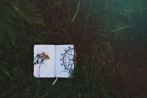 Photo lucid dreaming journal