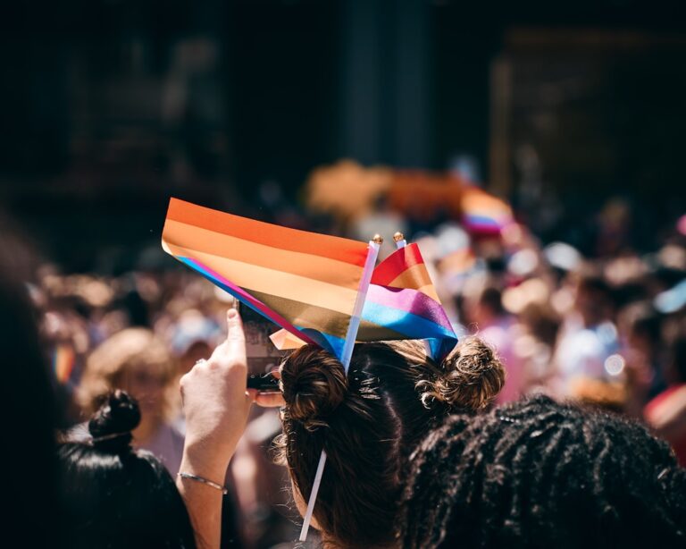 Implicare în Voluntariat și ONG-uri LGBTQ din România