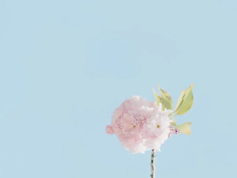 Photo Minimalism