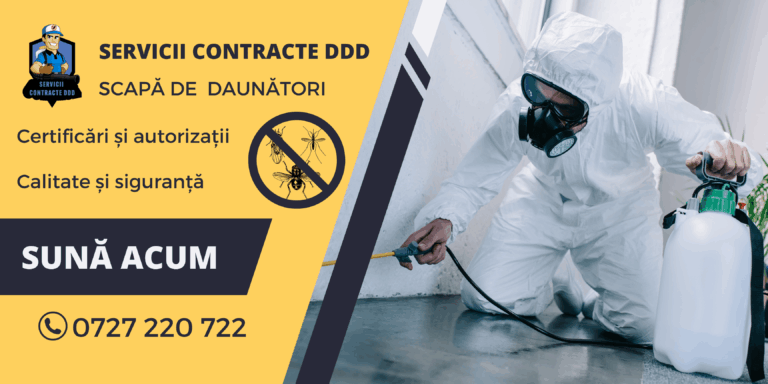 Gândacul de Canalizare (Periplaneta americana): Portretul Detaliat al Unui Invadator Tăcut și Periculos