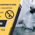 Deratizarea: Costul Ascuns al Inacțiunii și Investiția Inteligentă în Siguranța Proprietății Tale