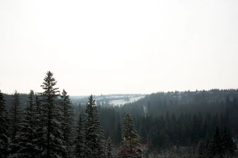 Se scrie nord-vest sau nord vest? Photo nord-vest