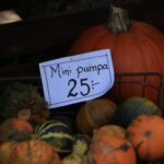 Rolul crucial al pompei de ulei în menținerea unei răciri uniforme a motorului