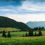 Cum să previi mahmureala: Mituri și remedii dovedite