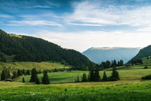 Cum să previi mahmureala: Mituri și remedii dovedite