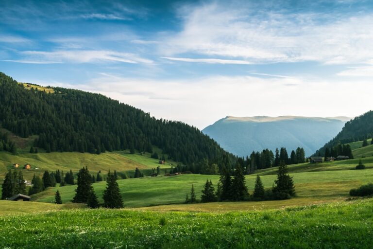 Cum să previi mahmureala: Mituri și remedii dovedite