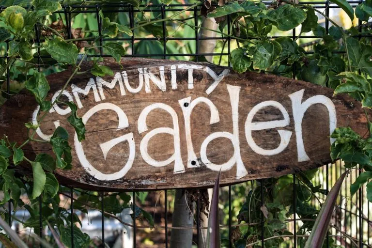 Photo community membership