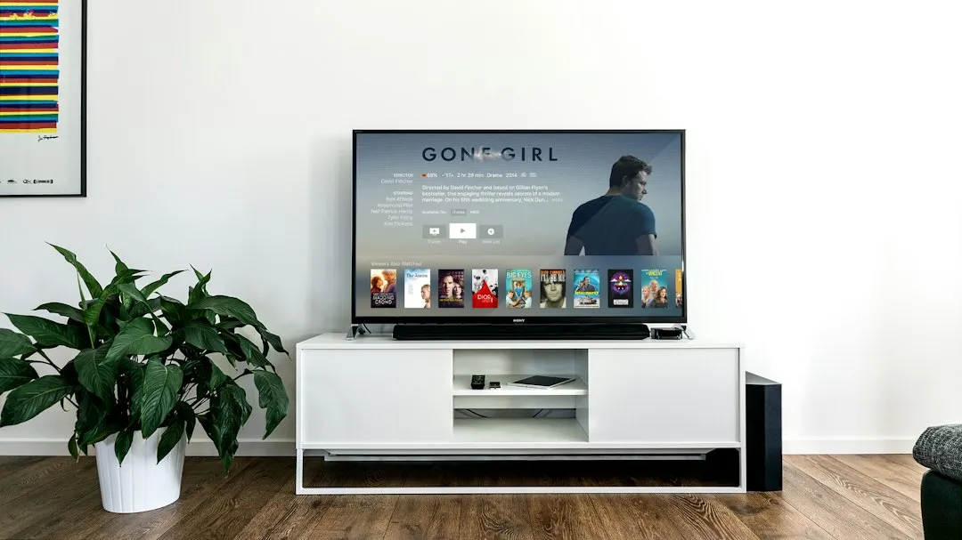 Photo television